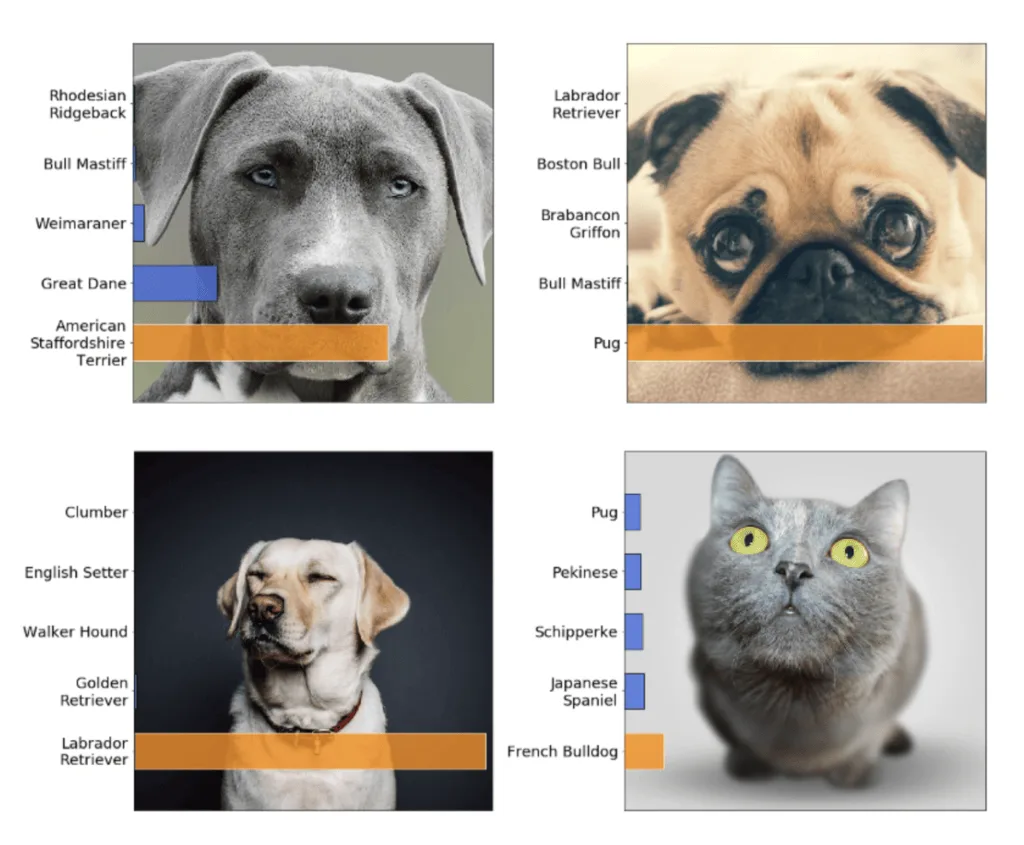 Discriminative AI Example