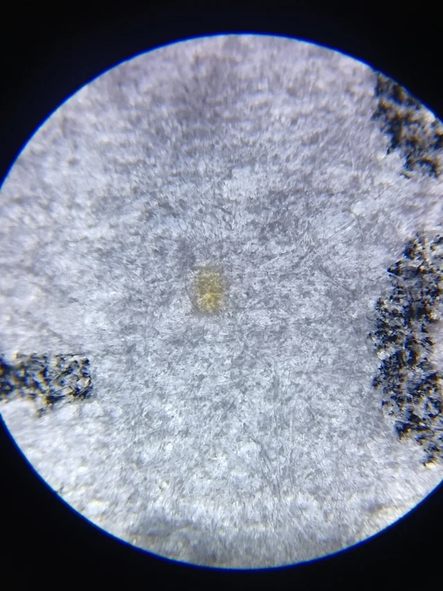 A single yellow printer tracking dot magnified under a loupe